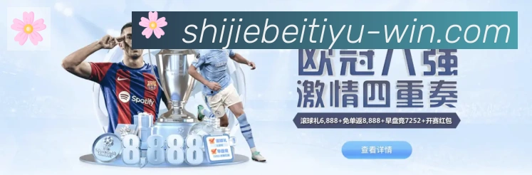 奖项4